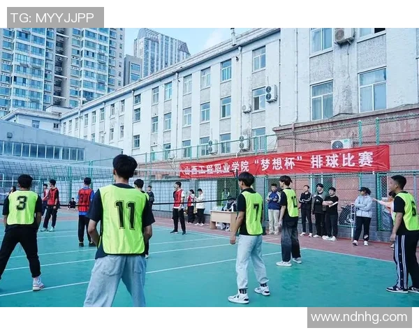 深度对话李芳排球人生的奋斗与梦想探索之旅