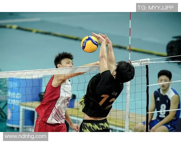 聚焦排球：重庆排球队的配合话题